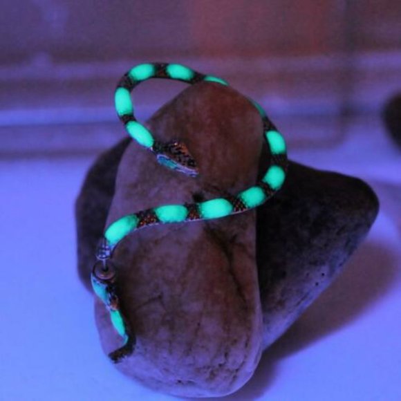 Glow in Dark Silver Snake Ear Stud Cuff Wrap Earring‎ - Fashion Gothic Punk- New - Picture 3 of 5